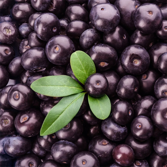 تقي من السرطان وفقدان الوزن.. 5 فوائد لـ