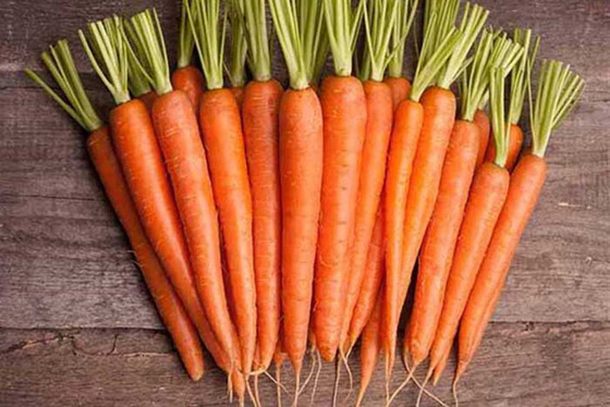 يقوي مناعتك ويحافظ علي عينك.. تعرف على فوائد الجزر لصحتك  صورة رقم 2