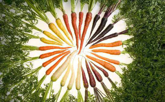 يقوي مناعتك ويحافظ علي عينك.. تعرف على فوائد الجزر لصحتك  صورة رقم 5