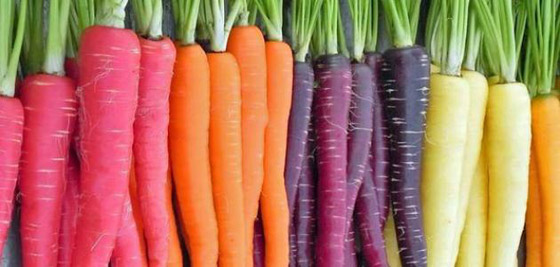 يقوي مناعتك ويحافظ علي عينك.. تعرف على فوائد الجزر لصحتك  صورة رقم 4