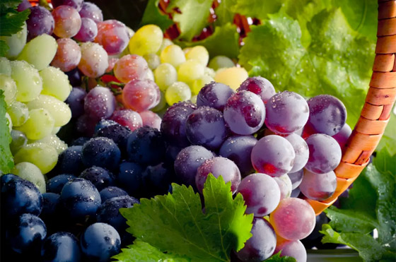 بعضها مفيد.. 10 عناصر غذائية تزيد مستويات السكر بالدم صورة رقم 6 بعضها مفيد.. 10 عناصر غذائية تزيد مستويات السكر بالدم صورة رقم 6