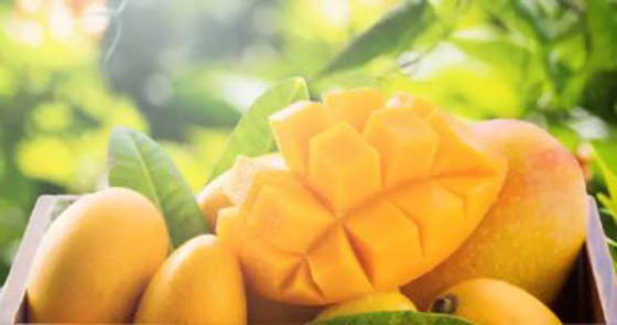 المانجو تسبب الطفح الجلدى والبثور.. اعرف السبب صورة رقم 4