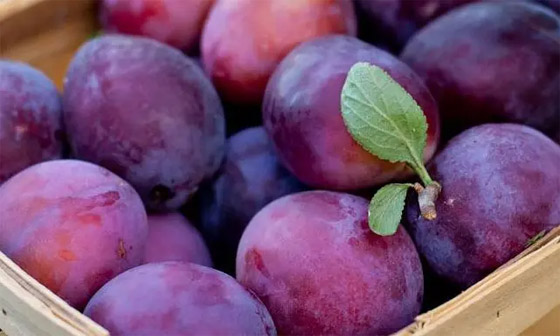 7 فوائد بفيتامين يتوافر في 10 أطعمة.. احرصوا على تناولها صورة رقم 9 7 فوائد بفيتامين يتوافر في 10 أطعمة.. احرصوا على تناولها صورة رقم 9