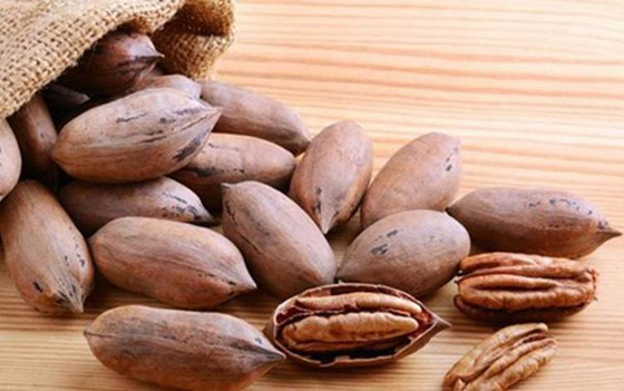 مكسرات البقان.. مزايا صحية خارقة ضد السكري والسمنة صورة رقم 1