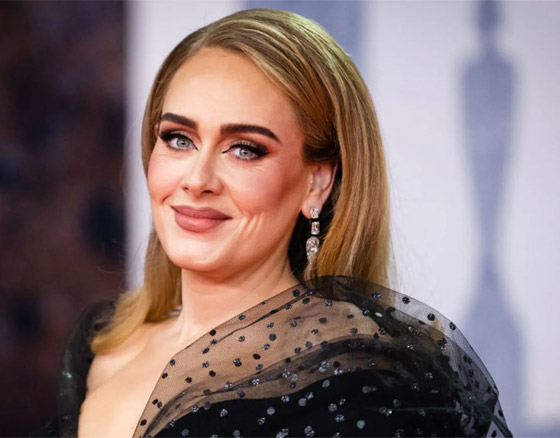 صورة رقم 11 - فيديو: لماذا انهارت أديل باكية على المسرح؟ وما قصة كشف نوع المولود لزوجين بين الحضور؟ صورة رقم 11 - فيديو: لماذا انهارت أديل باكية على المسرح؟ وما قصة كشف نوع المولود لزوجين بين الحضور؟