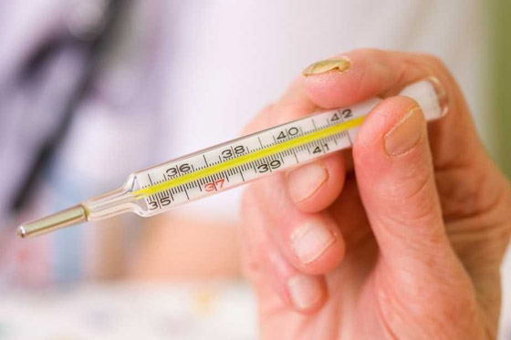 بينها البصل.. 12 عنصراً تخفض حرارة جسمك في الأيام الحارة صورة رقم 6