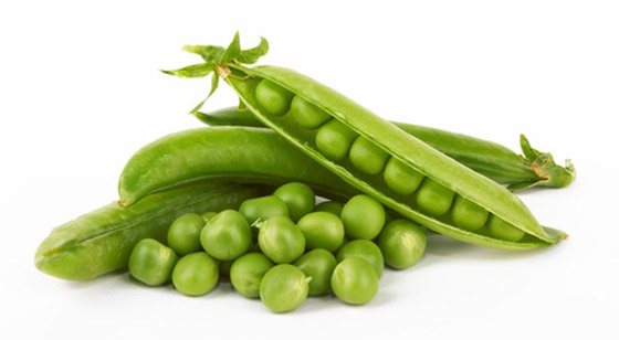    5 -  ..    