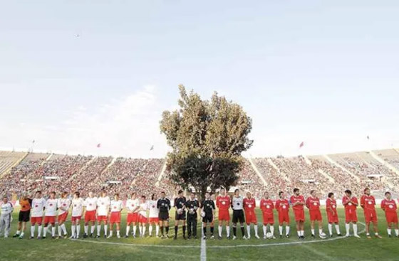 صورة رقم 5 - أغرب 10 ملاعب رياضية في العالم! صورة رقم 5 - أغرب 10 ملاعب رياضية في العالم!