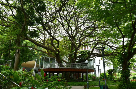 صورة رقم 2 - 4 عناوين جاذبة للأزواج لقضاء شهر عسل رومانسي في ماليه صورة رقم 2 - 4 عناوين جاذبة للأزواج لقضاء شهر عسل رومانسي في ماليه