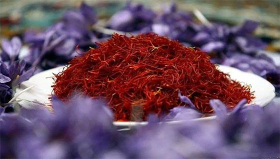 صورة رقم 6 - هل تتناول الزعفران؟ فوائد صحية ذهبية وخطر في هذه الحالة! صورة رقم 6 - هل تتناول الزعفران؟ فوائد صحية ذهبية وخطر في هذه الحالة!
