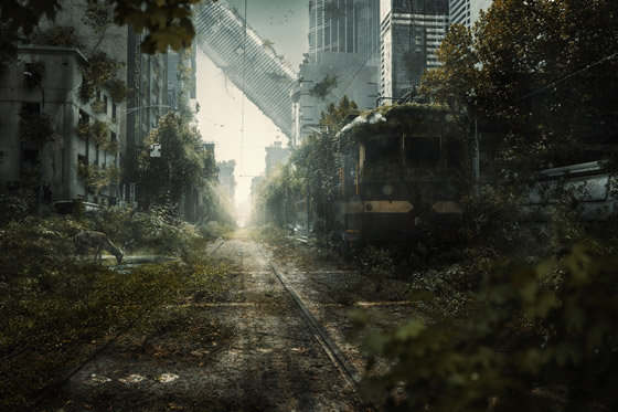 صورة رقم 8 - صورة رقم 8 -