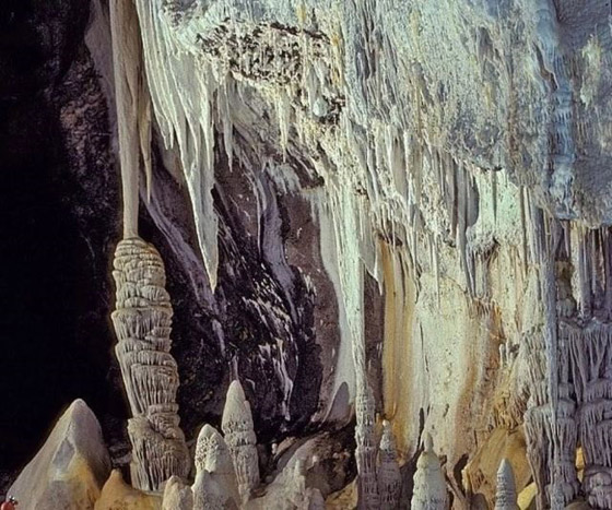    3 -    