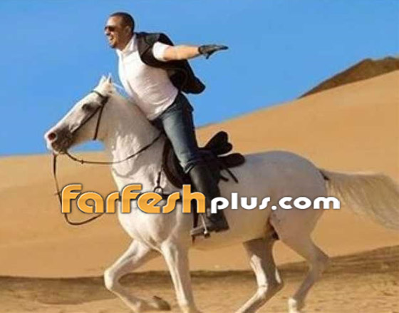 صورة رقم 1 - فيديوهات وصور 19 فنانا وفنانة يعشقون الفروسية والخيل رغم سقوطهم عن الحصان! صورة رقم 1 - فيديوهات وصور 19 فنانا وفنانة يعشقون الفروسية والخيل رغم سقوطهم عن الحصان!