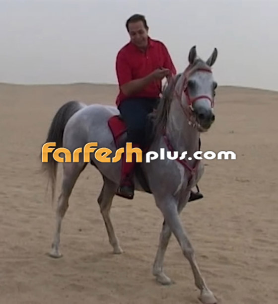 صورة رقم 9 - فيديوهات وصور 19 فنانا وفنانة يعشقون الفروسية والخيل رغم سقوطهم عن الحصان! صورة رقم 9 - فيديوهات وصور 19 فنانا وفنانة يعشقون الفروسية والخيل رغم سقوطهم عن الحصان!