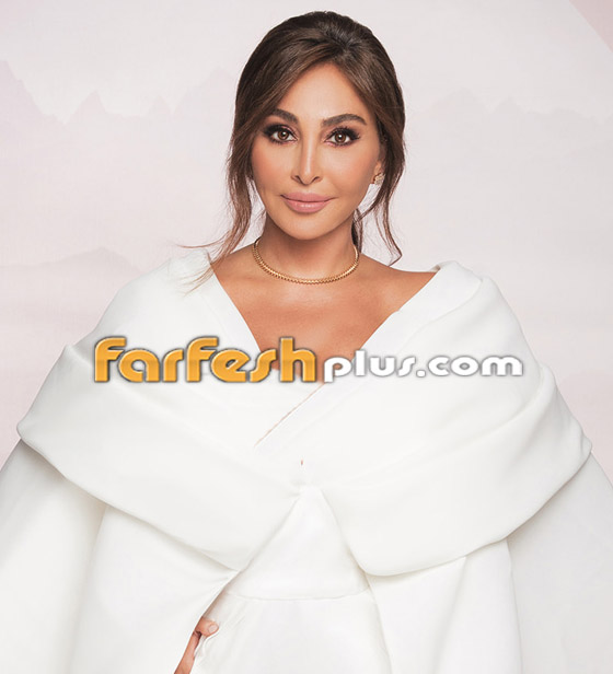 صورة رقم 3 - 3 مطربات غنين عن الأزمات التي عاشوها: إليسا، شيرين عبد الوهاب وآمال ماهر.. فيديو صورة رقم 3 - 3 مطربات غنين عن الأزمات التي عاشوها: إليسا، شيرين عبد الوهاب وآمال ماهر.. فيديو