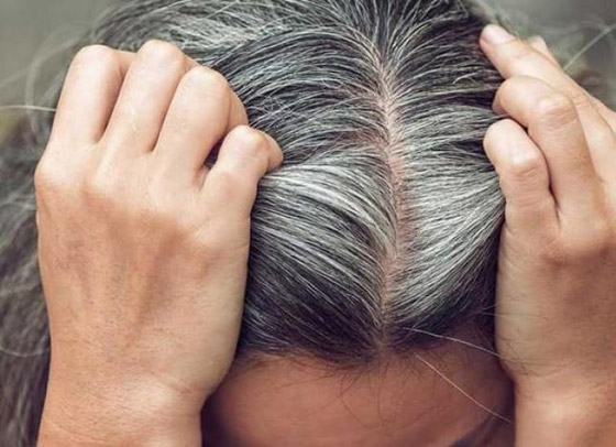 للوقاية من الشيب المبكر.. استوصوا بهذه الأطعمة الخارقة صورة رقم 11 للوقاية من الشيب المبكر.. استوصوا بهذه الأطعمة الخارقة صورة رقم 11