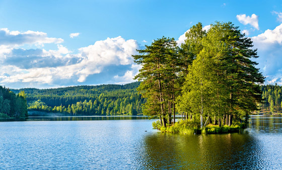 صورة رقم 5 - صور: رحلة إلى أوسلو الوجهة النرويجية الشهيرة بالطبيعة والمتاحف صورة رقم 5 - صور: رحلة إلى أوسلو الوجهة النرويجية الشهيرة بالطبيعة والمتاحف