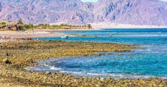 صورة رقم 9 - صورة رقم 9 -