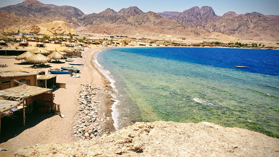 صورة رقم 10 - صورة رقم 10 -
