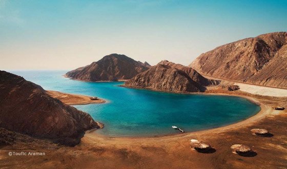 صورة رقم 11 - صورة رقم 11 -