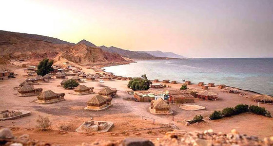 صورة رقم 12 - صورة رقم 12 -