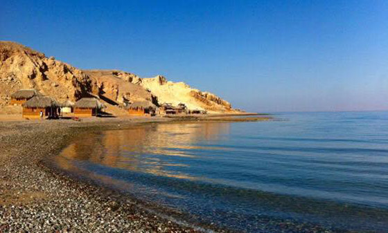 صورة رقم 15 - صورة رقم 15 -