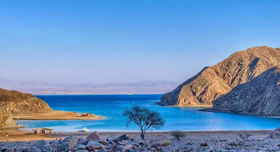 صورة رقم 19 - صورة رقم 19 -