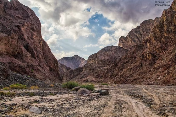 صورة رقم 6 - صورة رقم 6 -