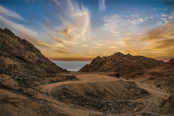 صورة رقم 8 - صورة رقم 8 -