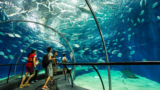 صورة رقم 5 - صور: جولة سياحية على المحطات الشهيرة في شنغهاي أكبر مدن الصين صورة رقم 5 - صور: جولة سياحية على المحطات الشهيرة في شنغهاي أكبر مدن الصين