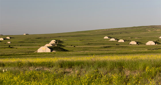 صورة رقم 13 - صورة رقم 13 -