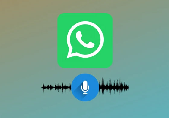 صورة رقم 6 - جديد واتساب.. رسائل صوتية تُسمع ثم تختفي! صورة رقم 6 - جديد واتساب.. رسائل صوتية تُسمع ثم تختفي!