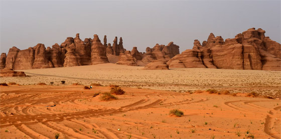 سحالي فريدة من نوعها بصحراء السعودية تتوهج في الظلام.. ما سرها؟ صورة رقم 2