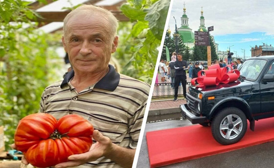 صورة رقم 1 - صور: جائزة الطماطم العملاقة في روسيا يحصدها بستاني من سيبيريا صورة رقم 1 - صور: جائزة الطماطم العملاقة في روسيا يحصدها بستاني من سيبيريا