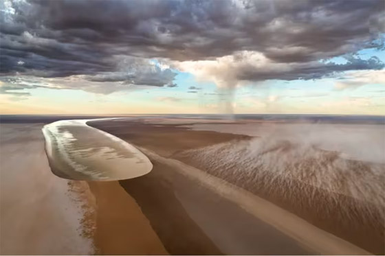 صورة رقم 2 - ألق نظرة على صور مسابقة مصور الحياة البرية لعام 2024 صورة رقم 2 - ألق نظرة على صور مسابقة مصور الحياة البرية لعام 2024