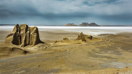 غزلان بغابة ضبابية.. صور رائعة تفوز بجوائز مسابقة 