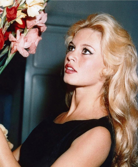  ���� ��� 2 - ���� ������ ������� �������� ������ ����� 