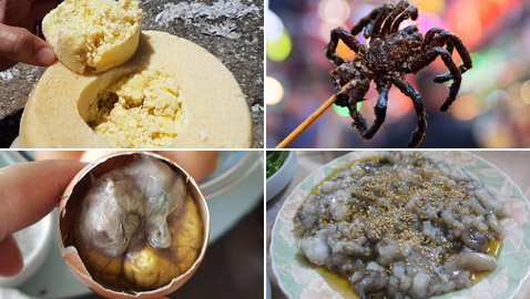 جبن باليرقات ومقبلات من العناكب.. إليكم أشهر الأطعمة الغريبة حول العالم