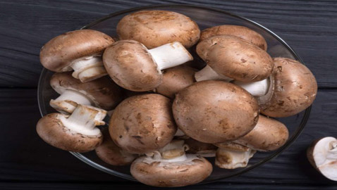 بشرى سارة للوقاية من مرض خطير: تناول الفطر (الماشروم) يحمي بشكل أكيد من مرض السرطان