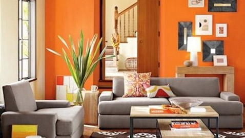 تعرف على ألوان الطلاء الأكثر شيوعاً في 2021