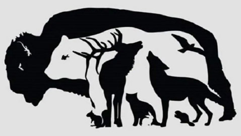 ما هو الحيوان الذي تراه؟ اختبار شخصية يكشف درجة الذكاء في العلاقات