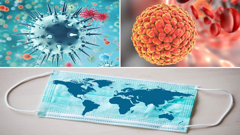 تعرفوا إلى 5 أوبئة وفيروسات شهيرة أرّقت العالم خلال العقد الماضي