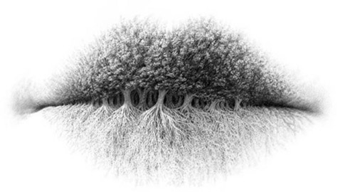 أول ما تراه في الصورة يظهر لك كثير من الامور عن شخصيتك