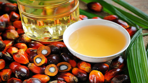 له فوائد لكن أضراره على البيئة خطيرة.. ما يجب معرفته عن زيت النخيل