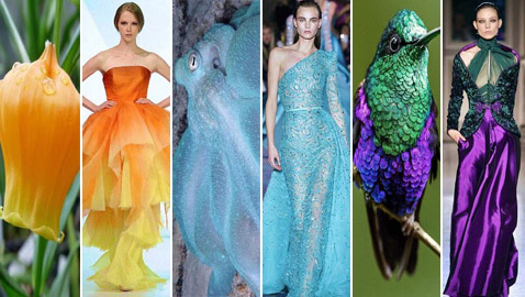 بالصور: إليكم أروع وأغرب صيحات الموضة المستلهمة من الطبيعة