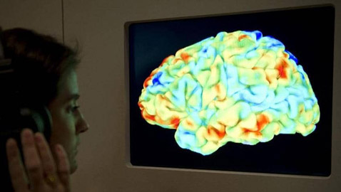 أمل لمرضى باركنسون.. مركب موجود في الفاكهة يحمي الدماغ