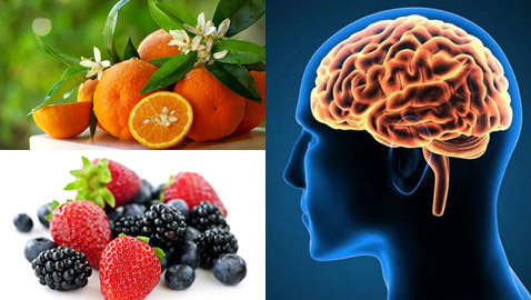 10 أطعمة صحية تعزز وتحسن أداء دماغ الإنسان 