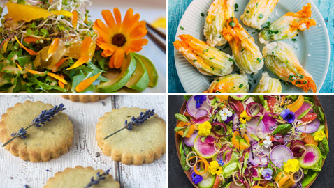 بالصور: تعرفوا إلى 10 زهور يمكنكم تناولها!