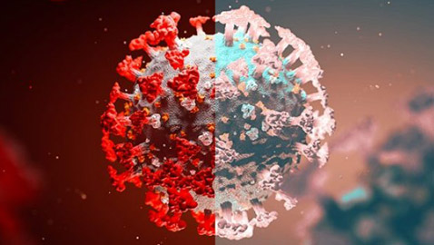 بشرى من خبير أمريكي: متغير دلتا قد يكون آخر تحور لفيروس كورونا!