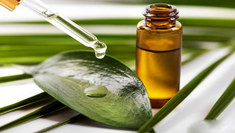 تعرفوا إلى فوائد استخدام زيت شجرة الشاي (زيت الميلالوكا) المدهشة